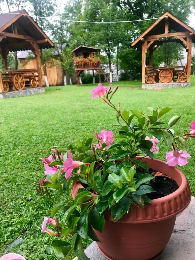 Casa La Bella Vista Hotel Moisei Luaran gambar